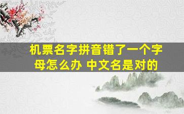 机票名字拼音错了一个字母怎么办 中文名是对的